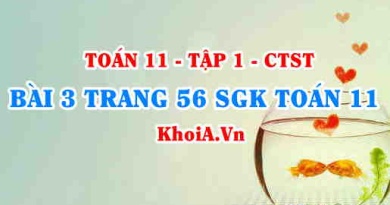 Bài 3 trang 56 SGK Toán 11 Tập 1 Chân trời sáng tạo